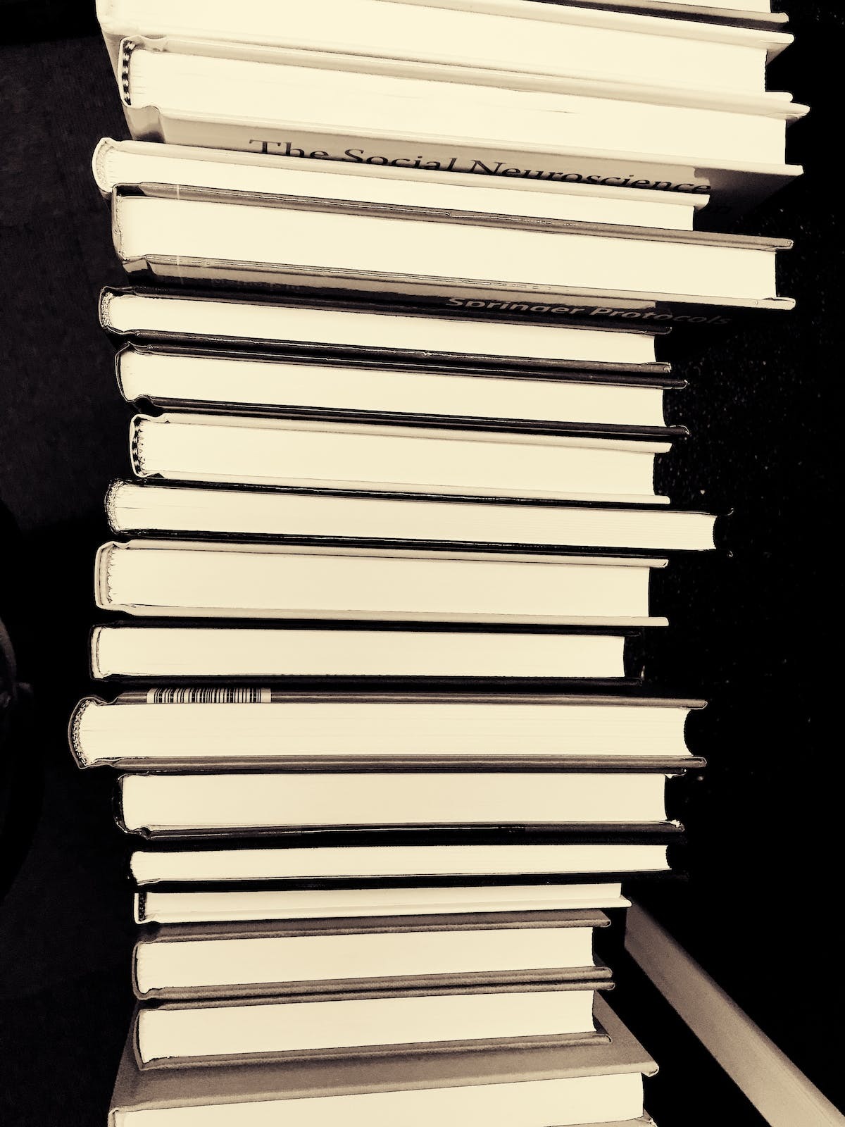 pexels-photo-207740.jpeg