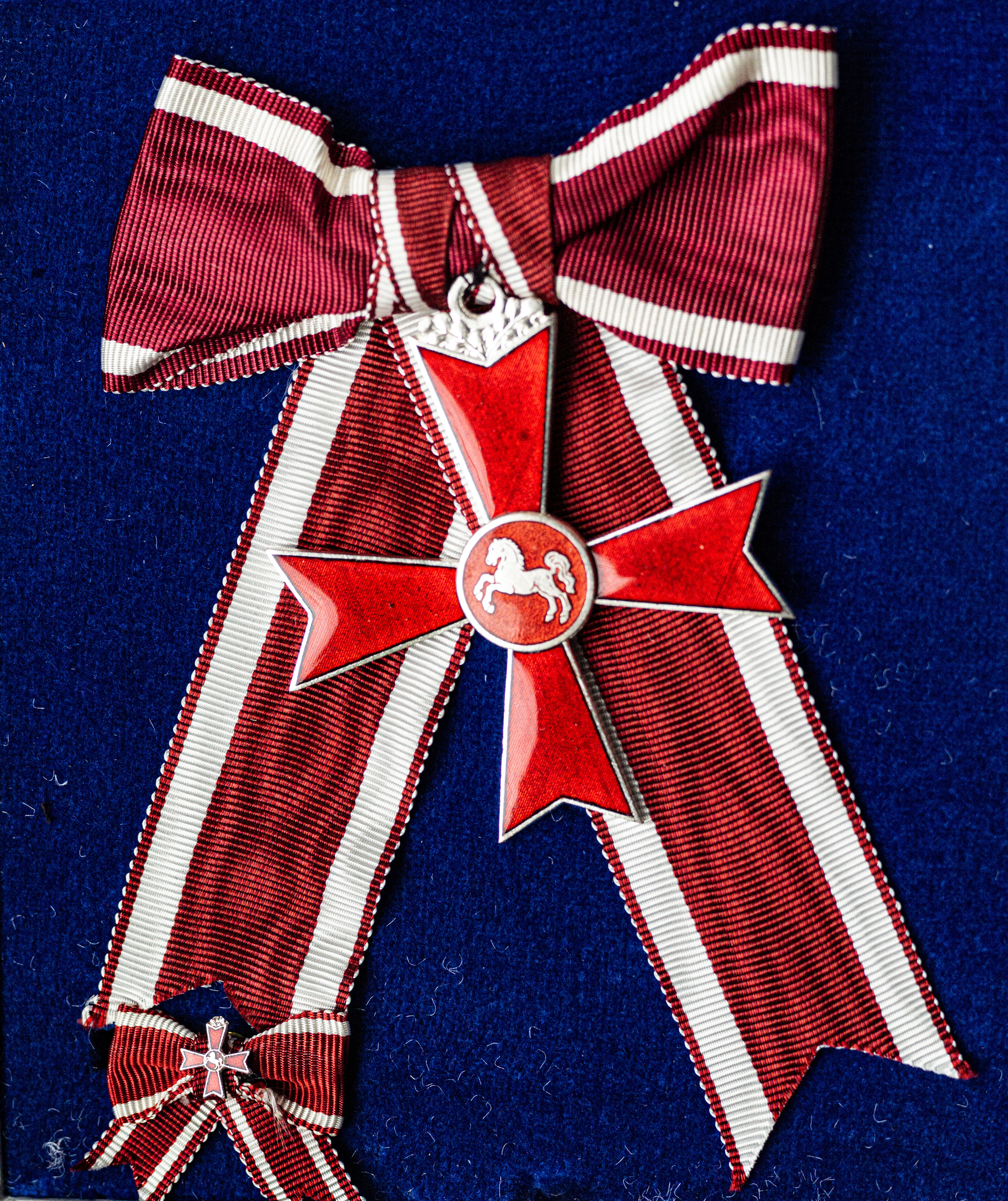 l1003351.jpg